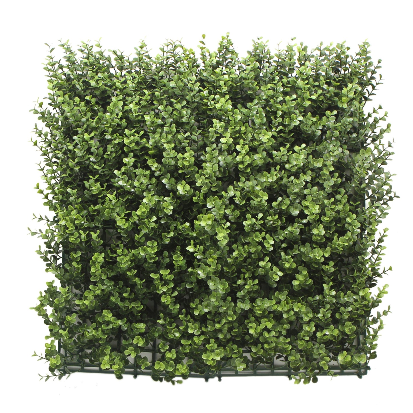 Jardin vertical Buxus pack 4 piezas 50x50 cm.