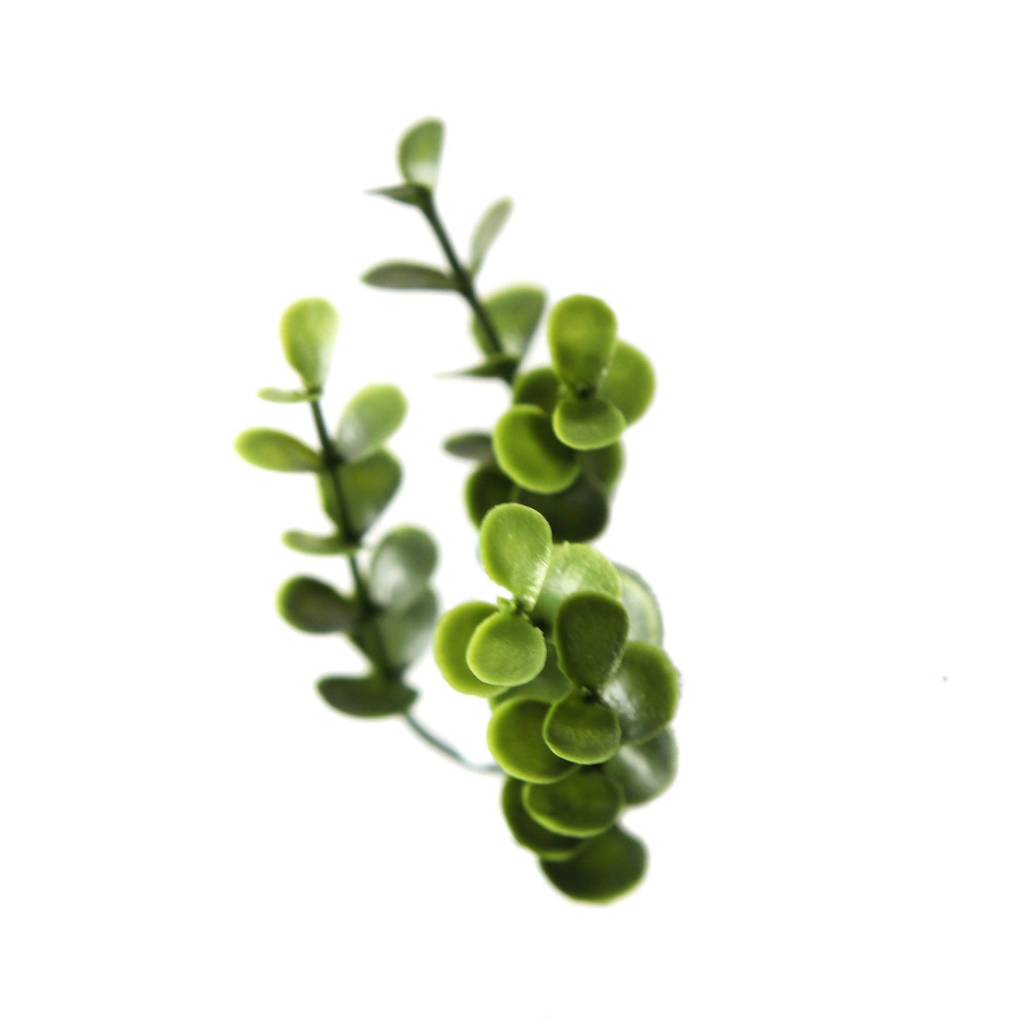 Jardin vertical Buxus pack 4 piezas 50x50 cm.
