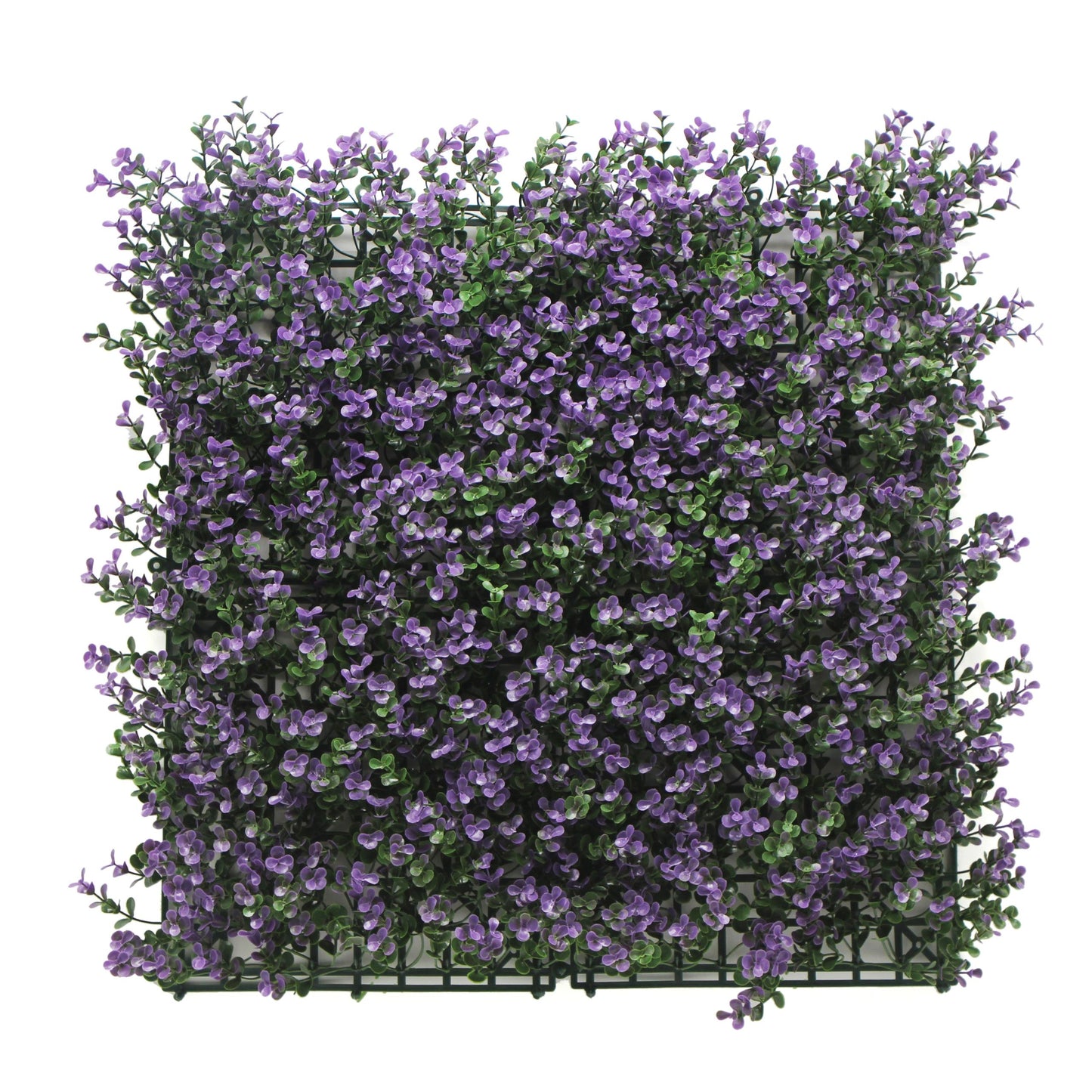 Jardin vertical Buxus Lavanda pack 4 piezas 50x50 cm.
