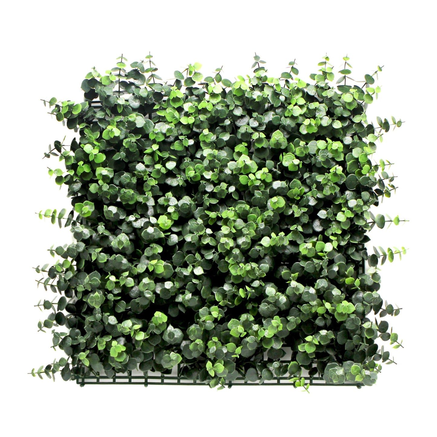 Jardin vertical Eucalipto pack 4 piezas 50x50 cm.