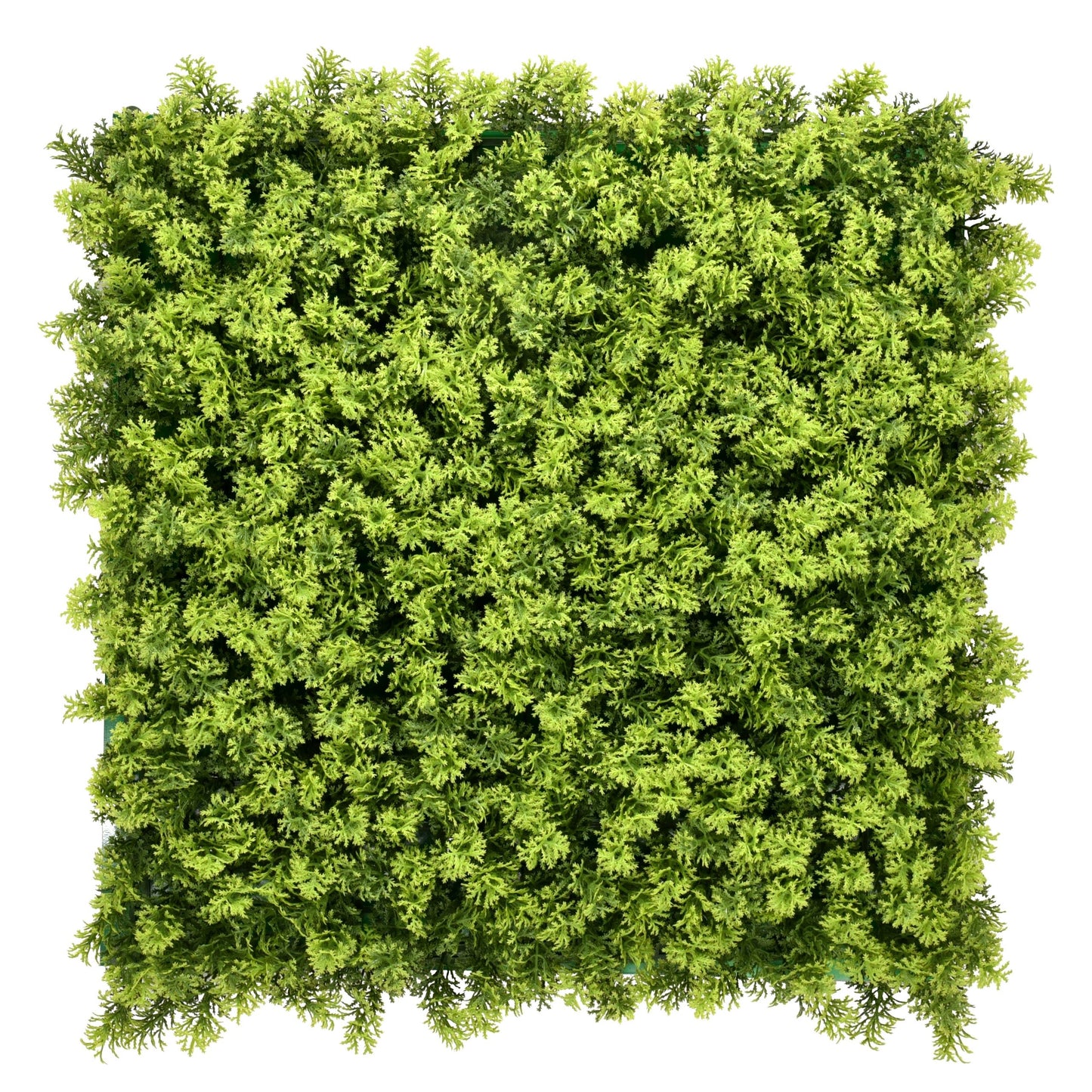 Jardin vertical Musgo pack 4 piezas 50x50 cm.