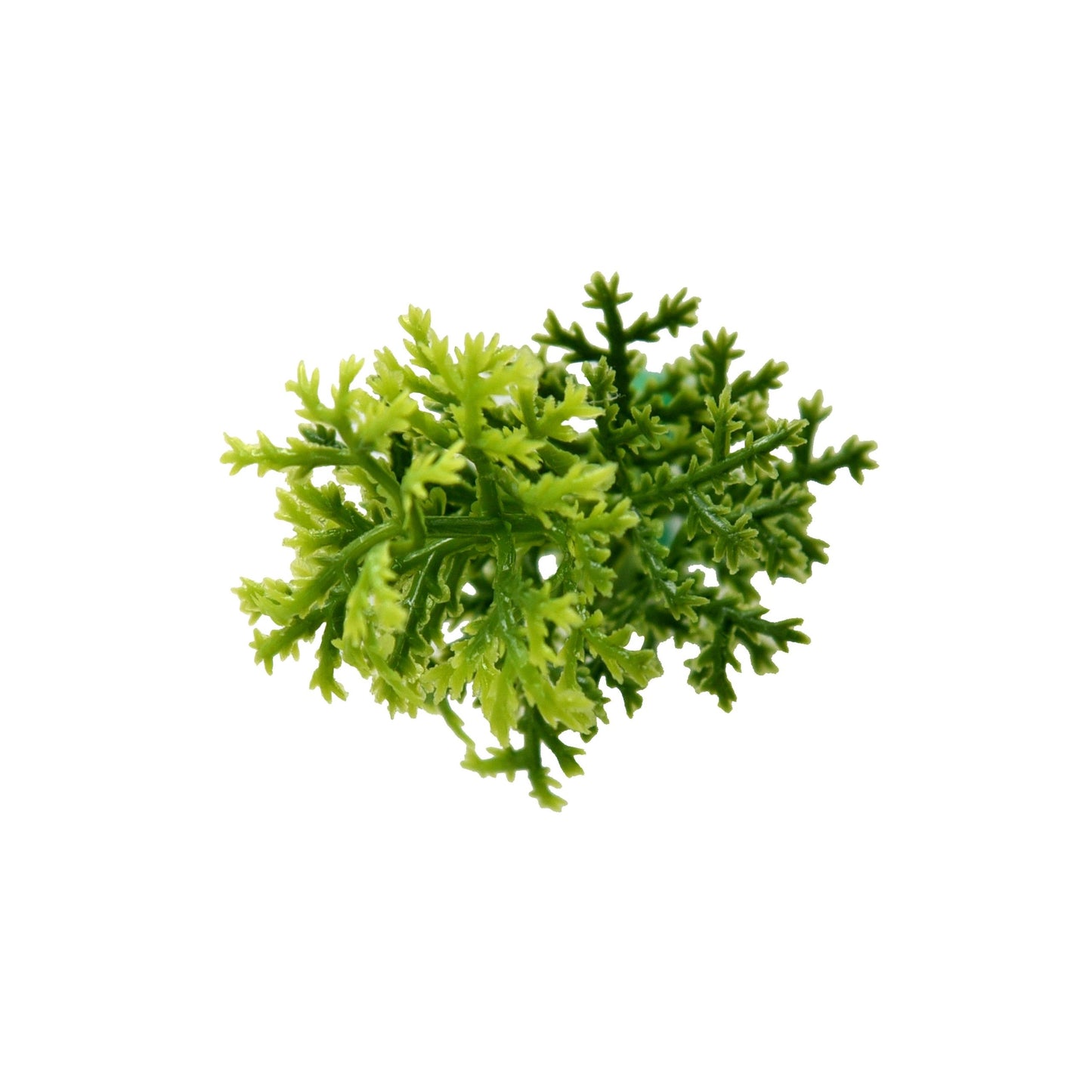 Jardin vertical Musgo pack 4 piezas 50x50 cm.