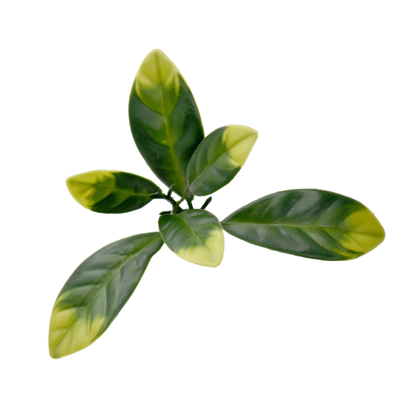 Jardin vertical Laurel pack 4 piezas 50x50 cm.