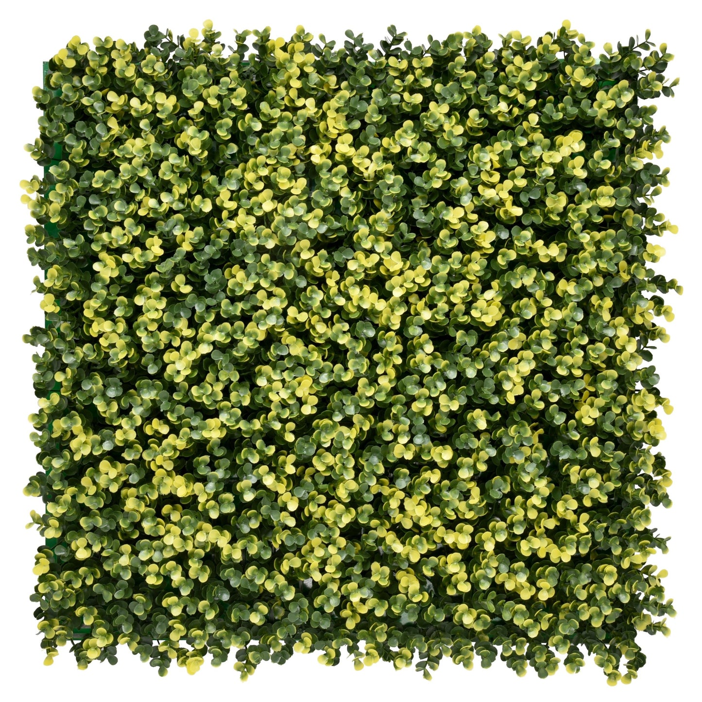 Jardin vertical Sinica Amarillo pack 4 piezas 50x50 cm.