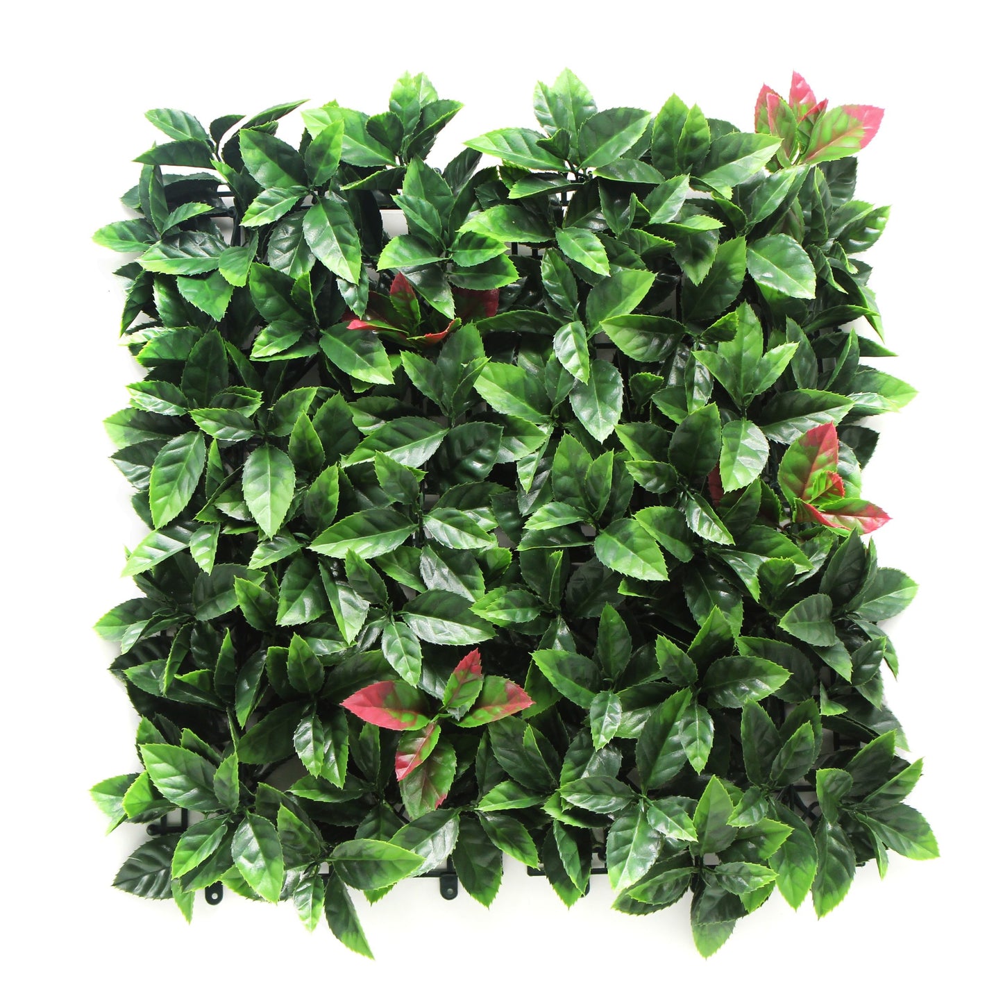 Jardin vertical Photinia Rojo pack 4 piezas 50x50 cm.