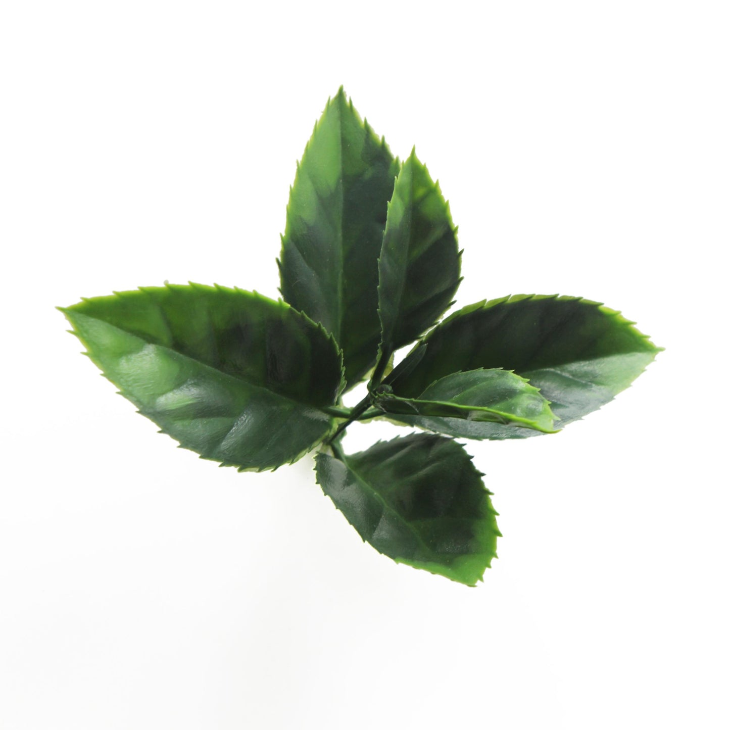 Jardin vertical Photinia Rojo pack 4 piezas 50x50 cm.