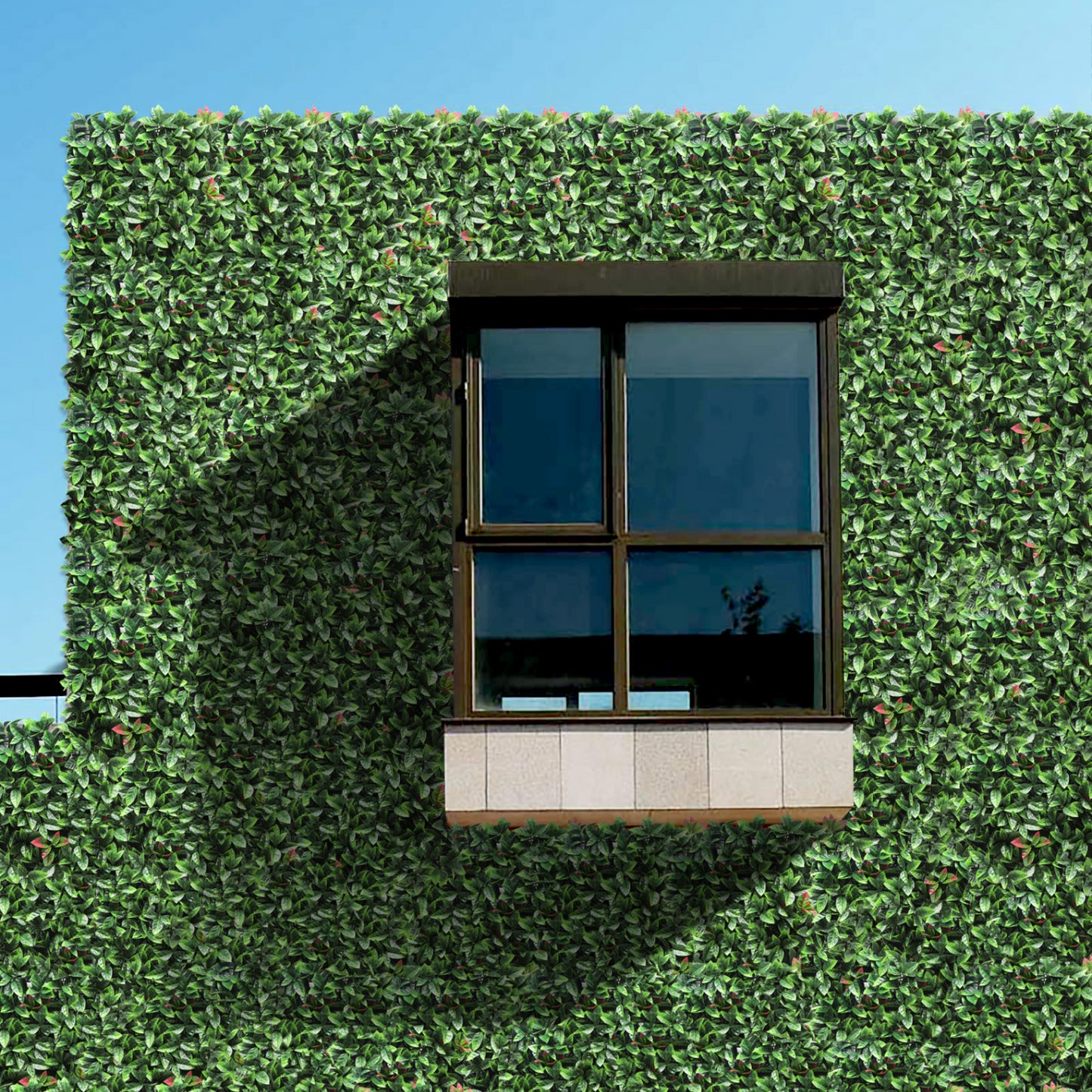 Jardin vertical Photinia Rojo pack 4 piezas 50x50 cm.