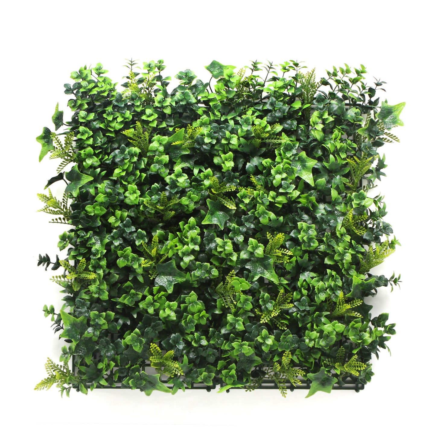 Jardin vertical Tropical pack 4 piezas 50x50 cm.