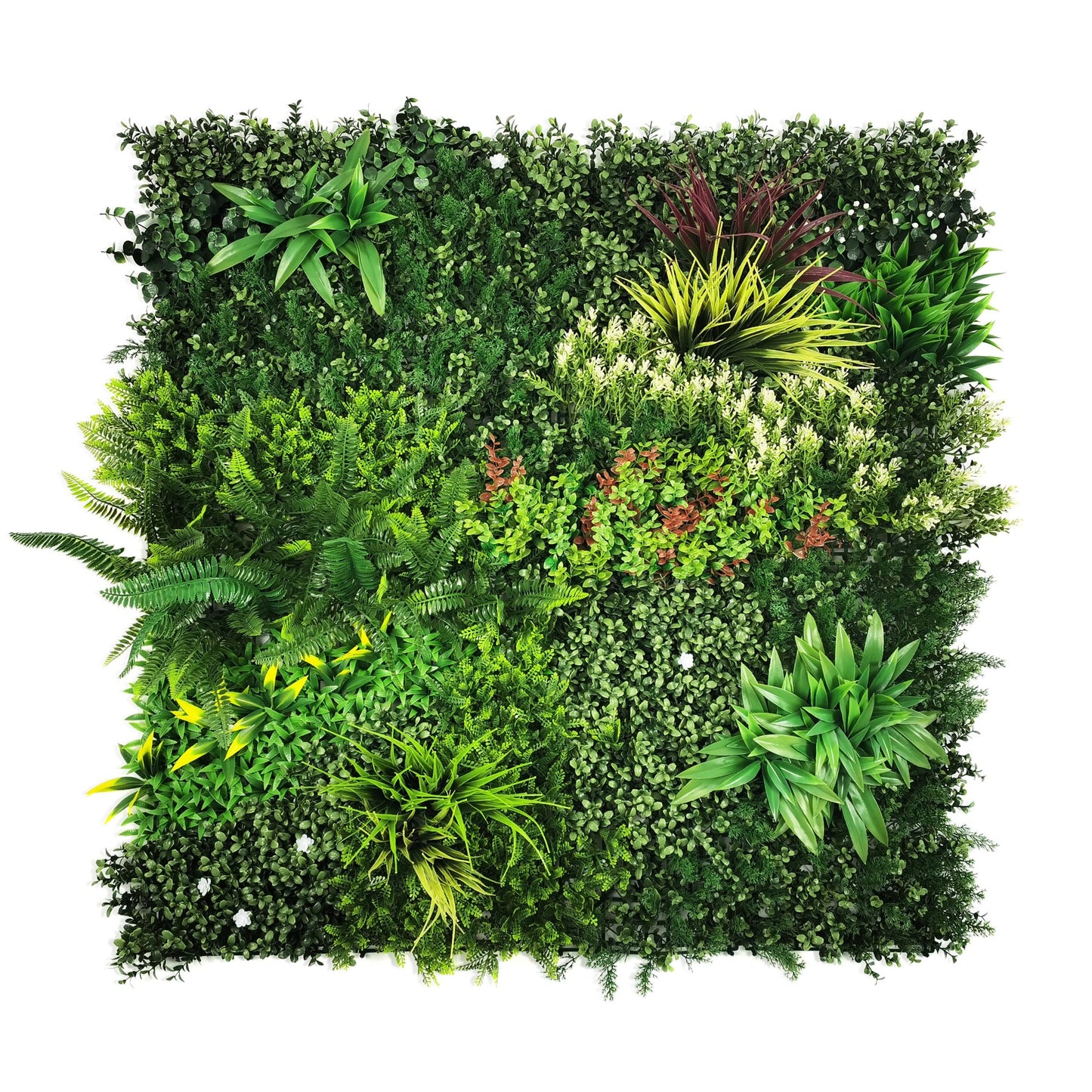 Jardin vertical Jamaica 1x1 metros
