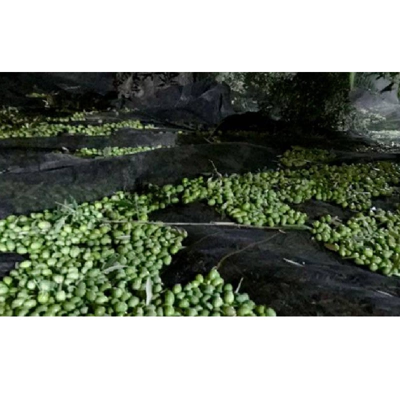 Mantos aceitunas Bonerva