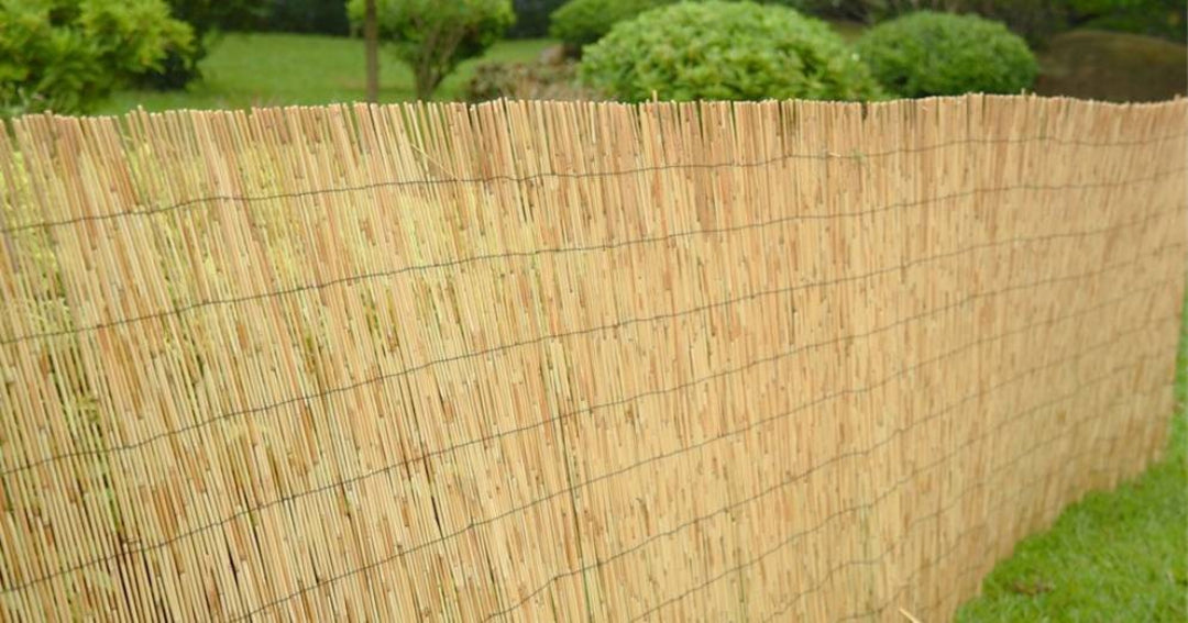 Bambú extra media caña Bonerva