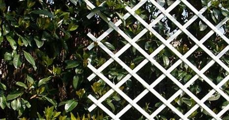 Celosia de plastico extensible Bonerva 1x2 metros