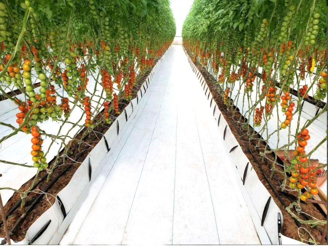 MALLA ANTIHIERBA BLANCA