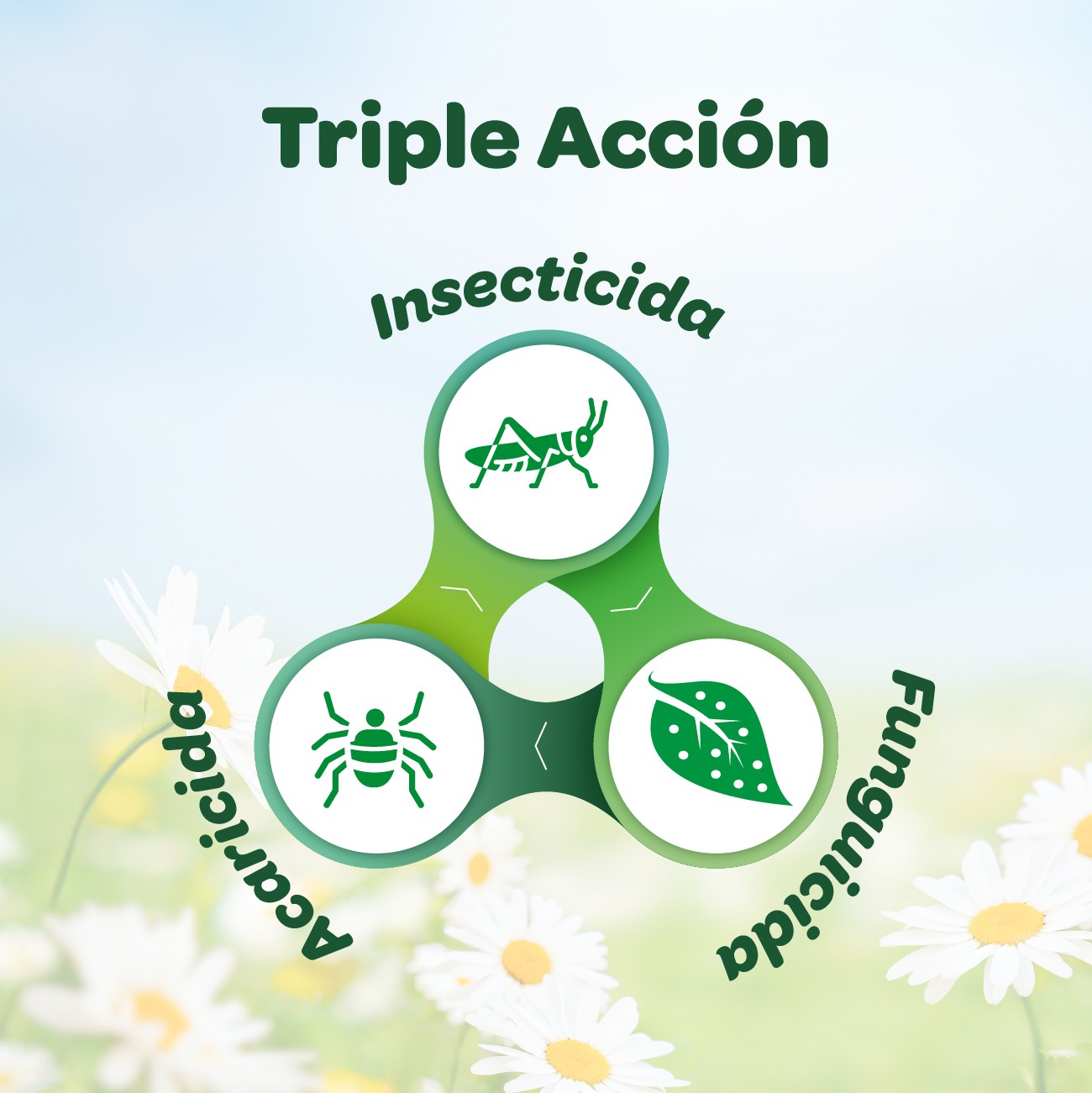Triple acción 750 ml.