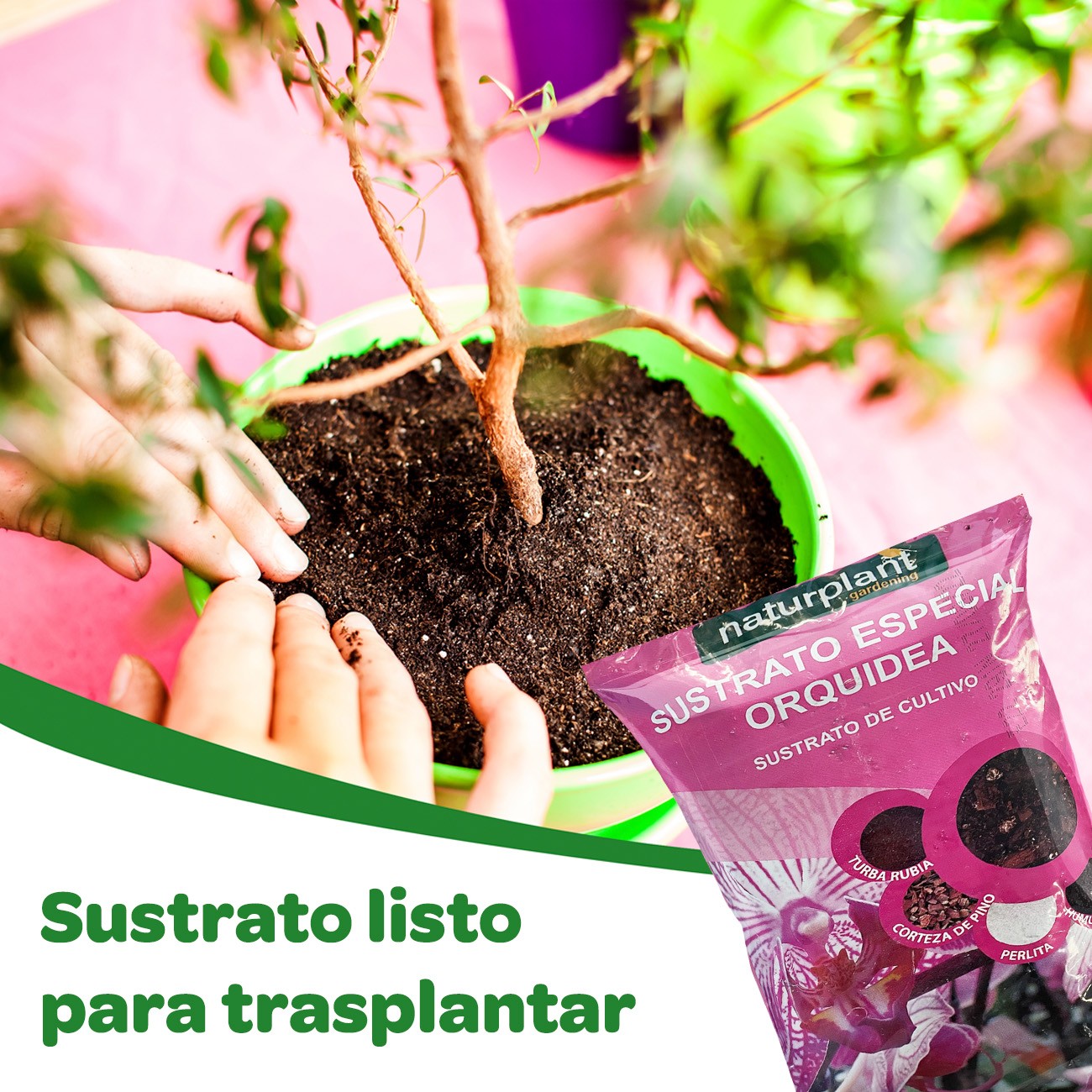 Sustrato especial orquídea. 5 Litros. Naturplant.