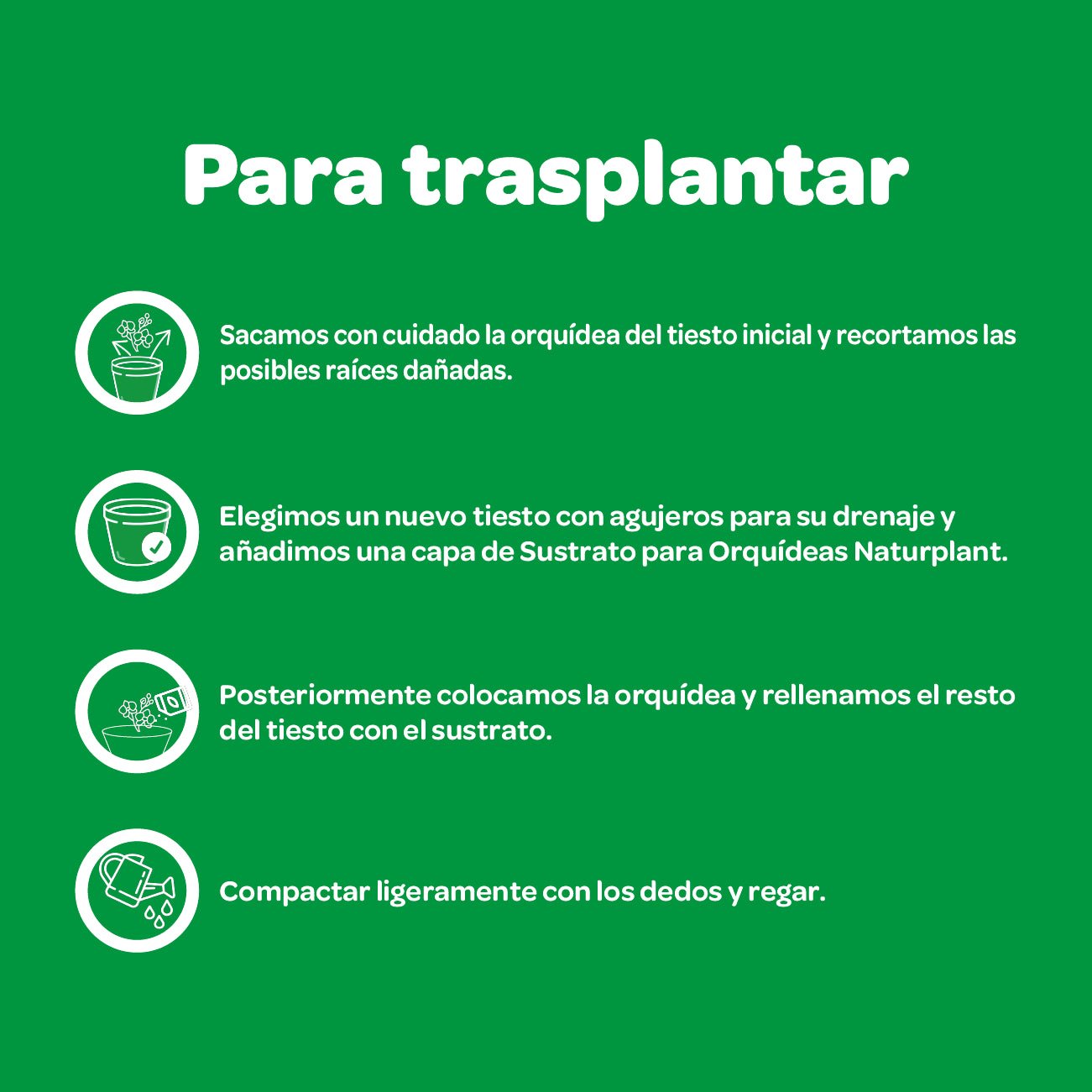 Sustrato especial orquídea. 5 Litros. Naturplant.