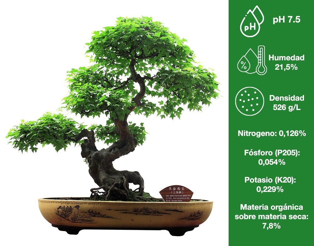Sustrato especial bonsai 5 L. Naturplant.