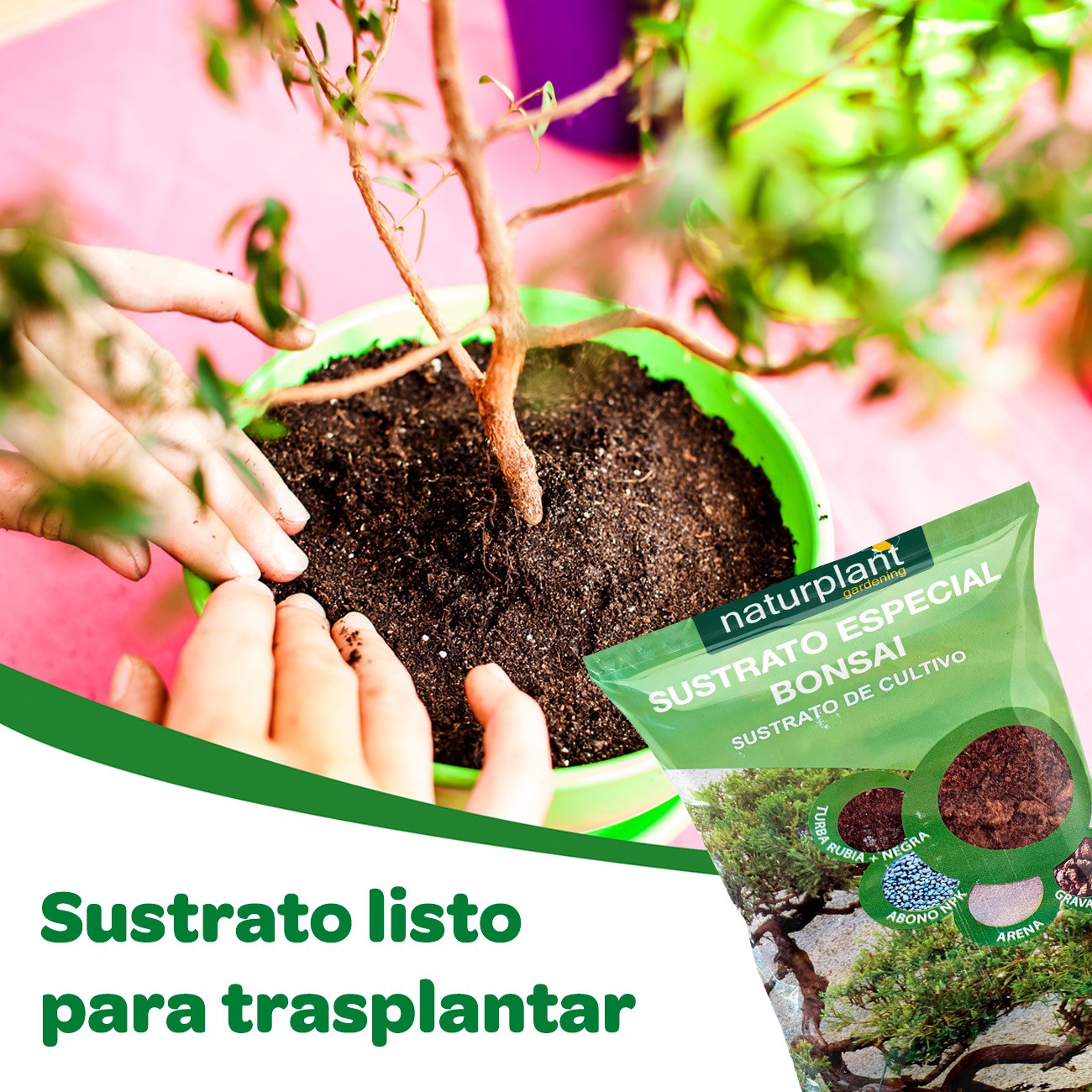 Sustrato especial bonsai 5 L. Naturplant.