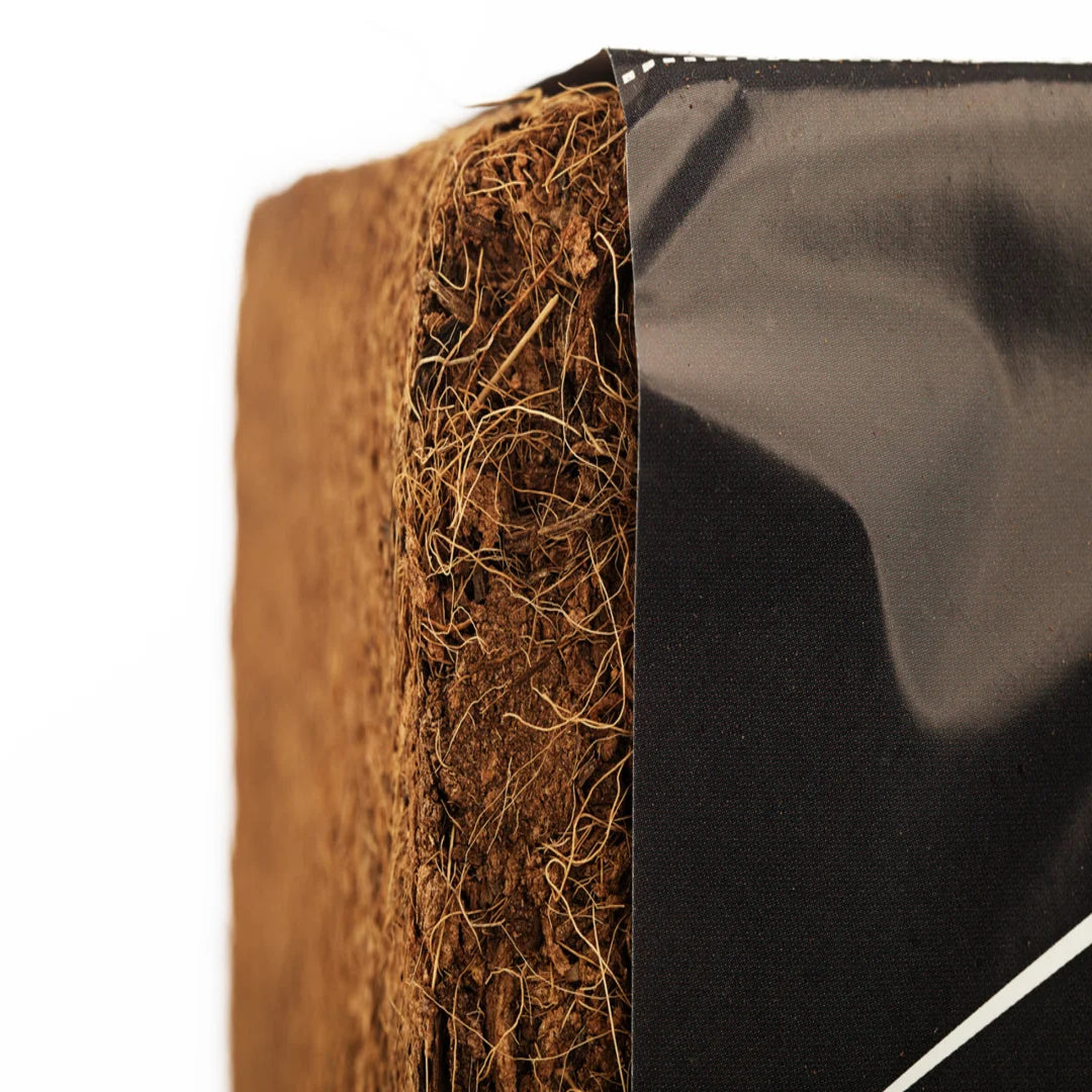 Fibra de coco pastilla 5 kg