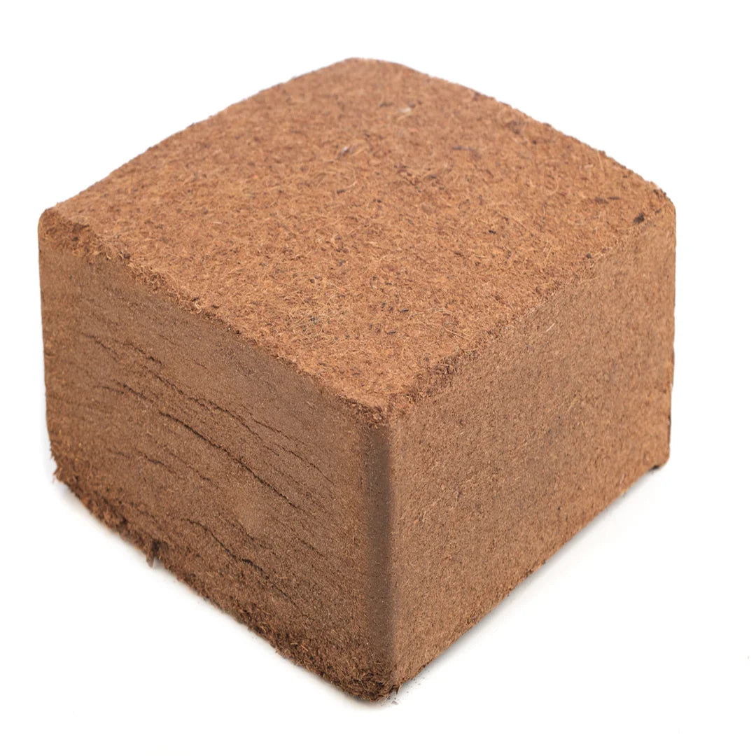 Fibra de coco pastilla 5 kg