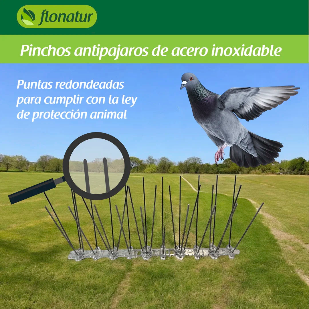 Pinchos antipájaros