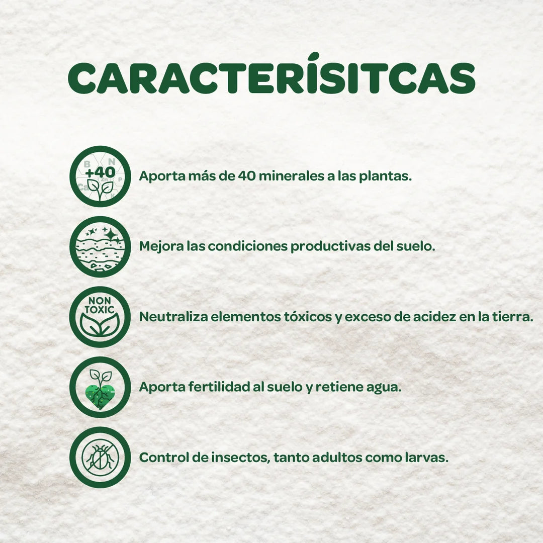 Tierra Diatomea