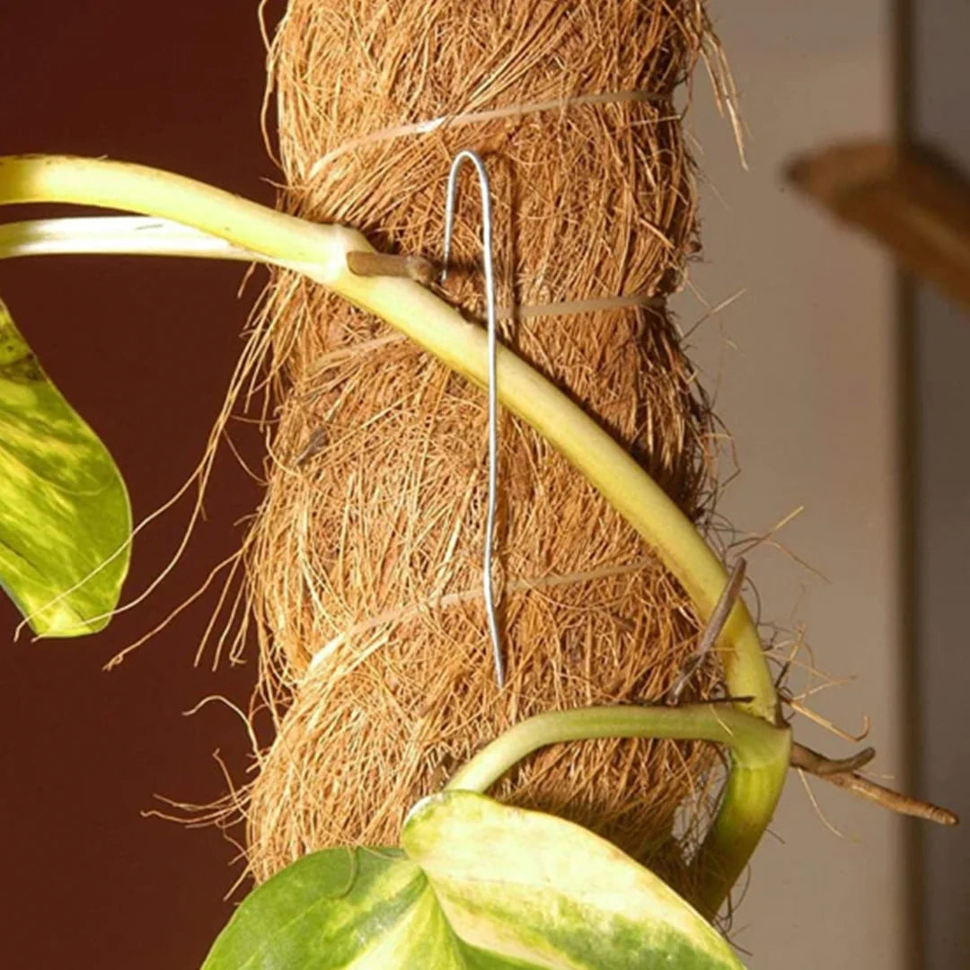 Tutor fibra de coco