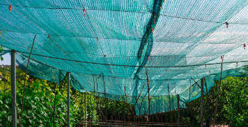Mallas Sombra: La Solución Perfecta para Proteger tu Jardín del Sol Intenso 🌞🌿