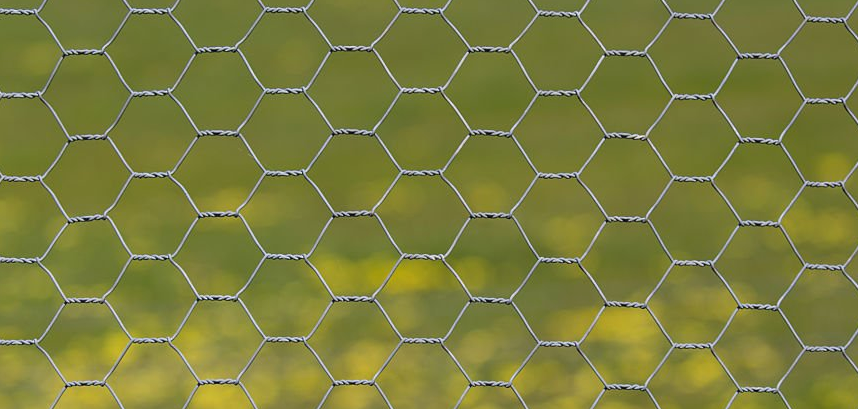 Malla para Gallineros: La Solución Ideal para Proteger a tus Aves y Optimizar tu Espacio 🐔🌿