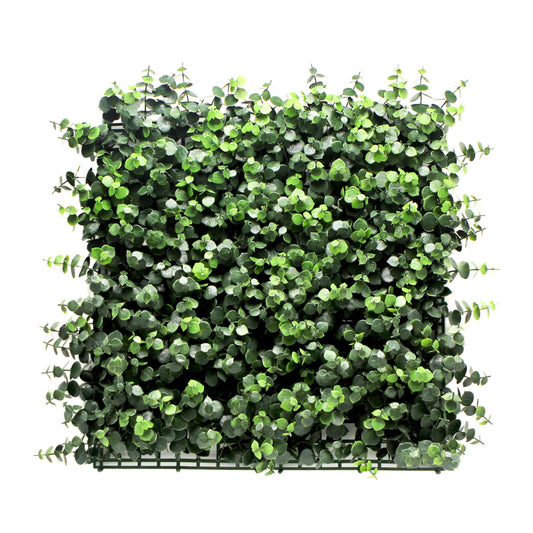 Jardin vertical Eucalipto pack 4 piezas 50x50 cm.