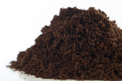 Sustrato fibra de coco. Naturplant.