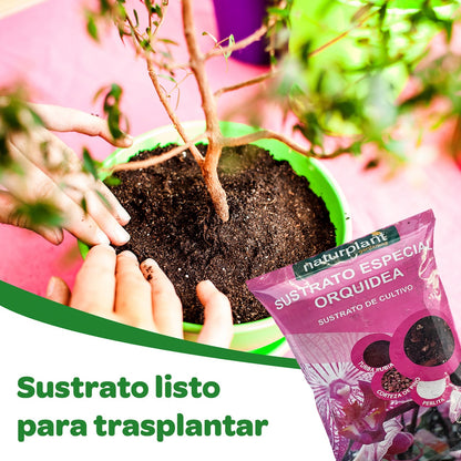 Sustrato especial orquídea. 5 Litros. Naturplant.