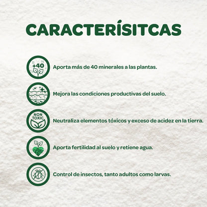 Tierra Diatomea